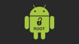    root   