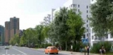 В районе Бирюлёво Восточное введен дом по реновации на 108 квартир